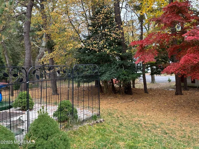 a view of a backyard