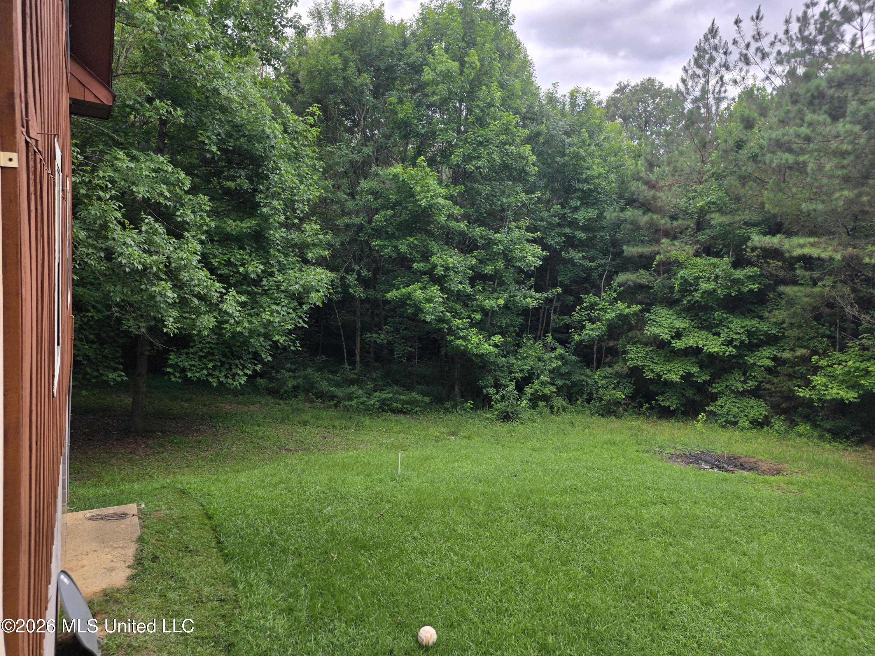 2025 Hendrix Road Coffeeville, MS 38922 - Photo 25 of 27 yard