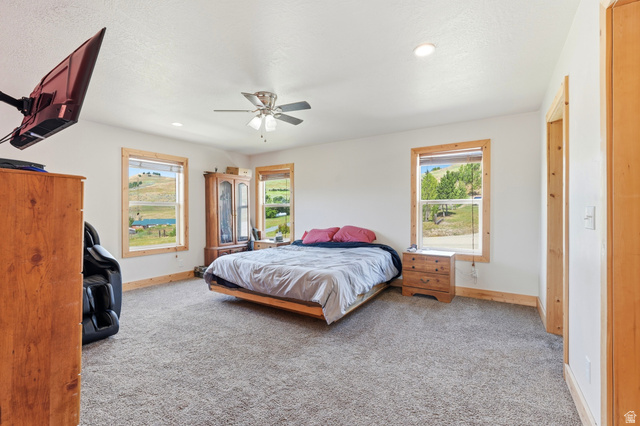 306 Spring Road Preston, ID 83263 - Photo 15 of 55 Spacious room featuring light-toned carpeting, white walls, and natural wood trim around windows and doorways