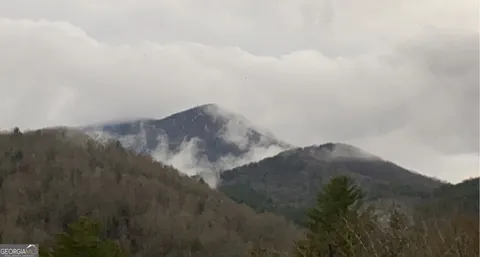 $1,175,000 | 101 Falling Rock Road, Blue Ridge, GA 30513