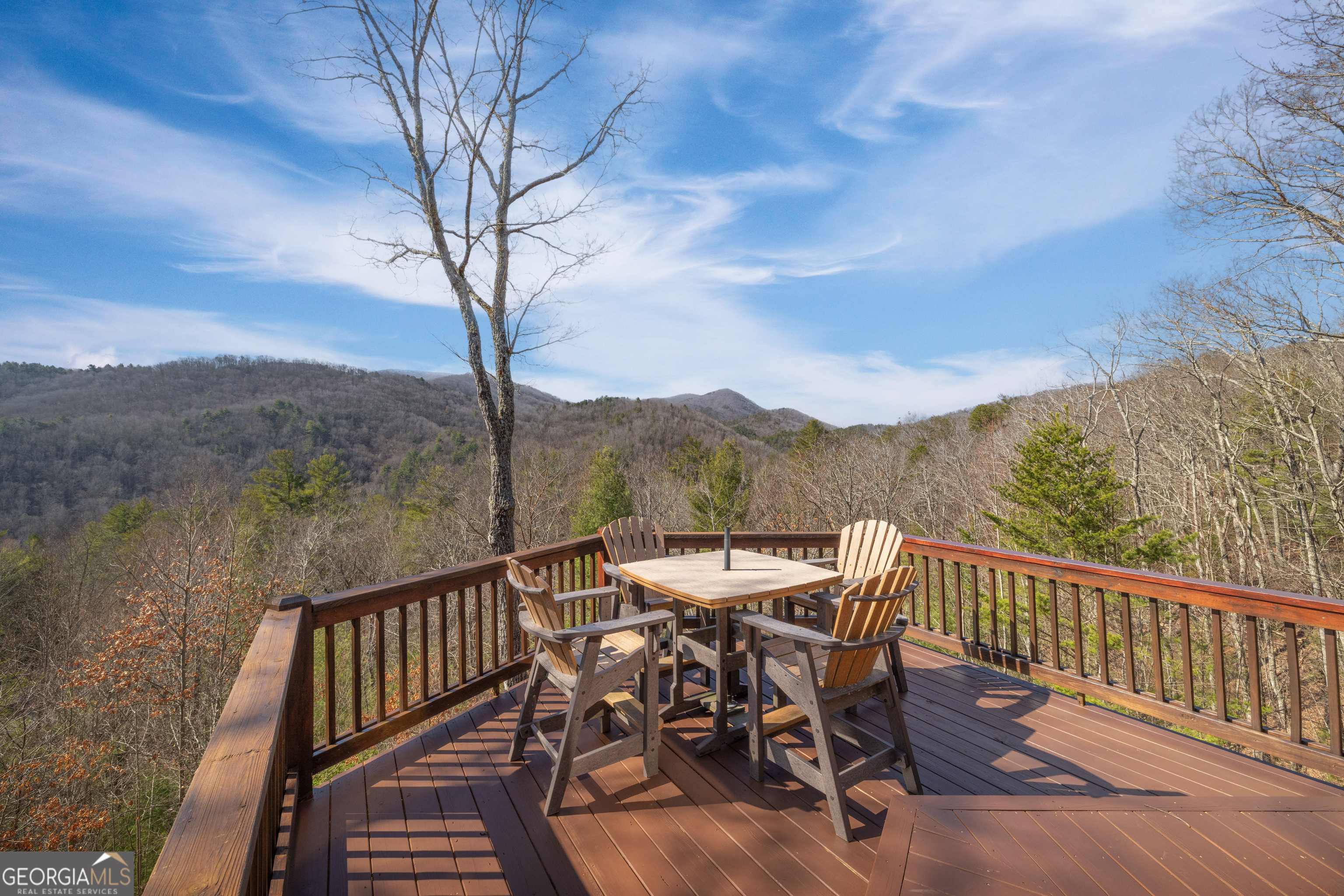 101 Falling Rock Road Blue Ridge, GA 30513 - Photo 66 of 66