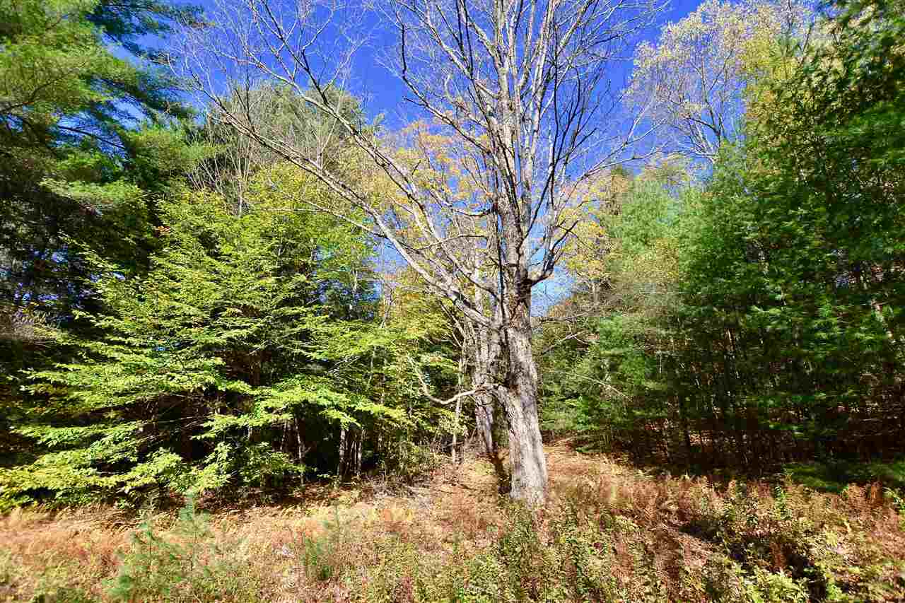 0 South Countryside Road, Unit 36 Waterbury, VT 05676 - Photo 6 of 13 Gallery Image 6