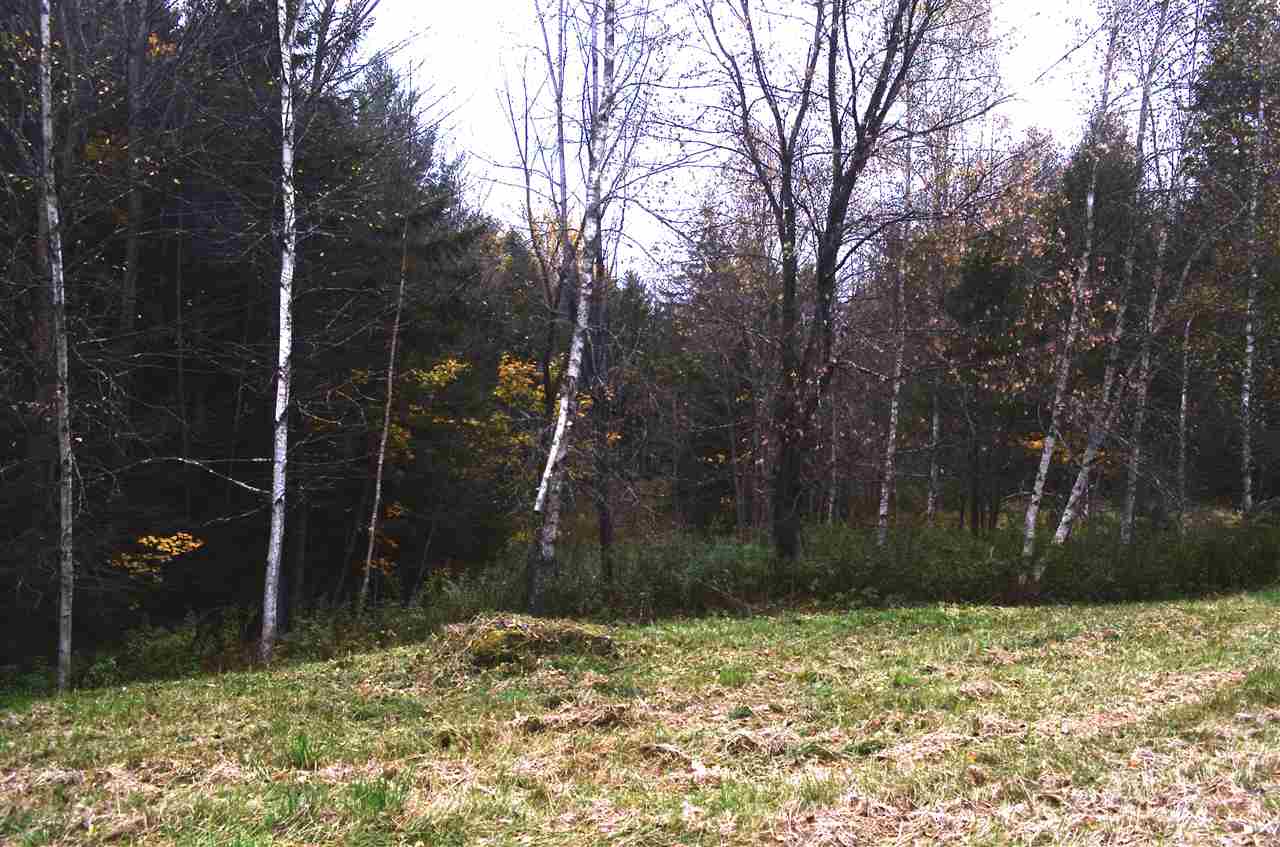 0 South Countryside Road, Unit 36 Waterbury, VT 05676 - Photo 7 of 13 Gallery Image 7