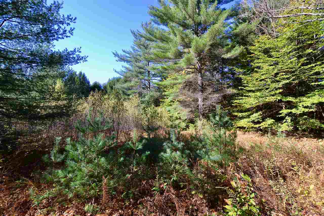 0 South Countryside Road, Unit 36 Waterbury, VT 05676 - Photo 10 of 13 Gallery Image 10