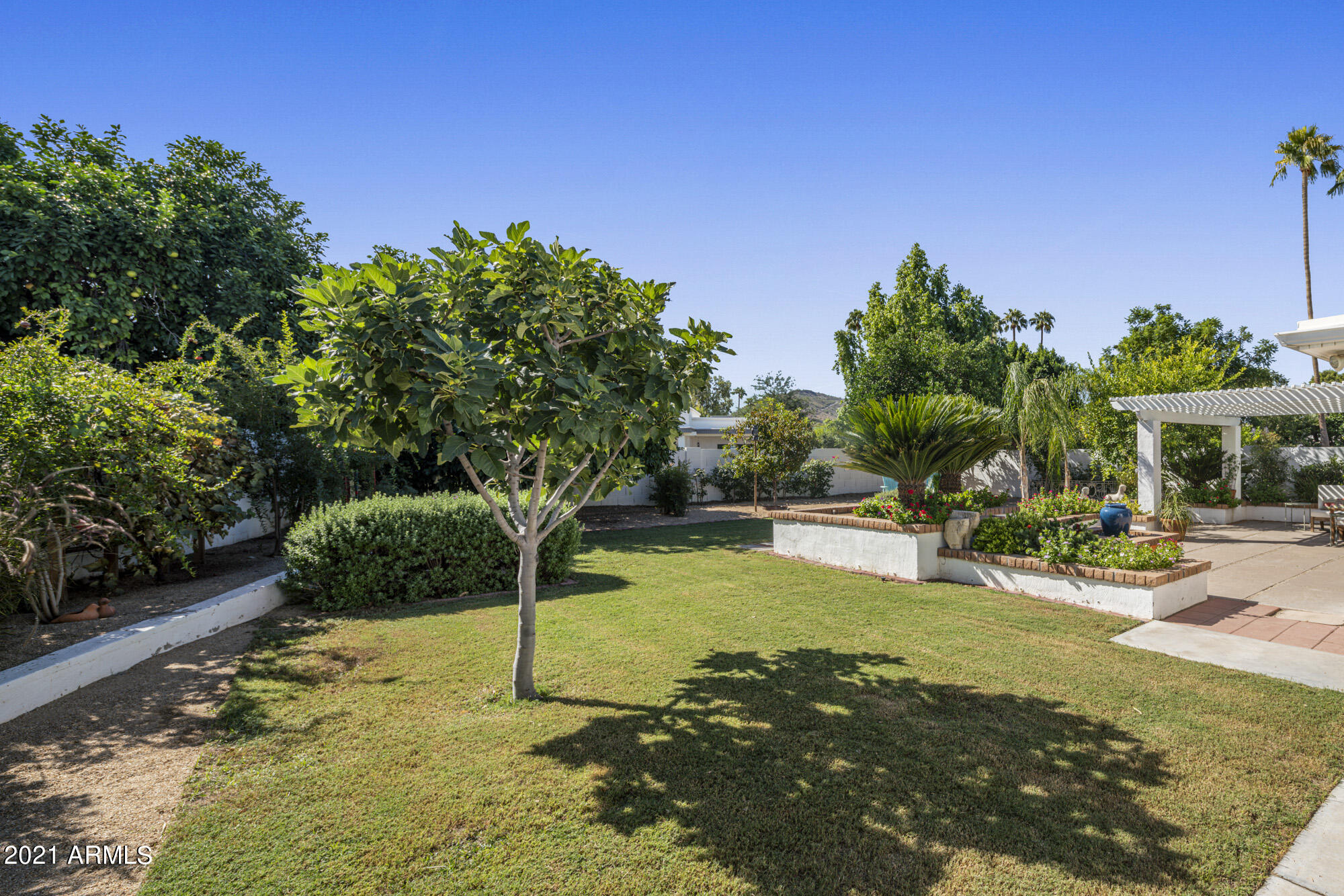 23 East Calavar Road Phoenix, AZ 85022 - Photo 26 of 35 Backyard
