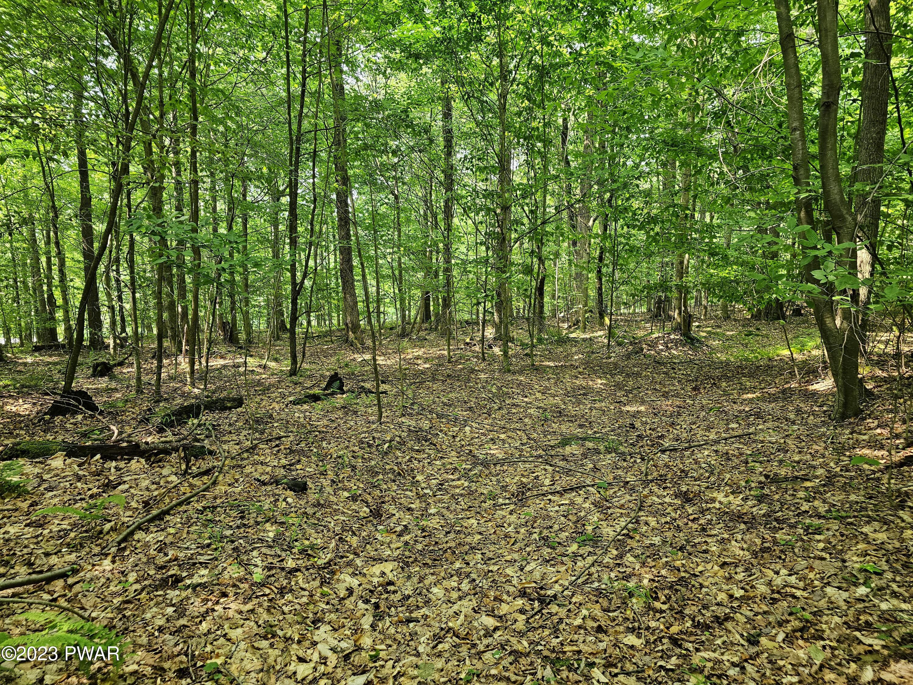 Lot 61 Rock Run Road Damascus, PA 18415 - Photo 27 of 56
