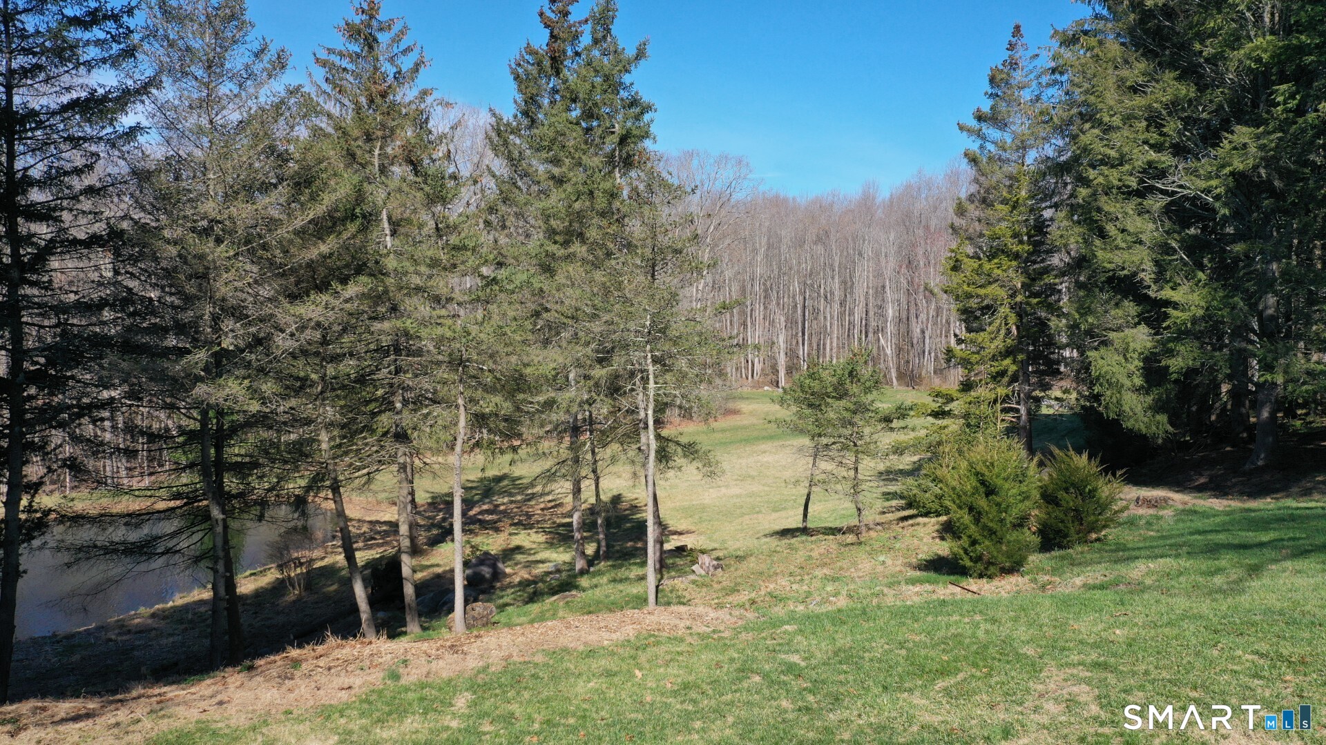 441 Opening Hill Road Madison, CT 06443 - Photo 14 of 33 a backyard of a house with lots of green space