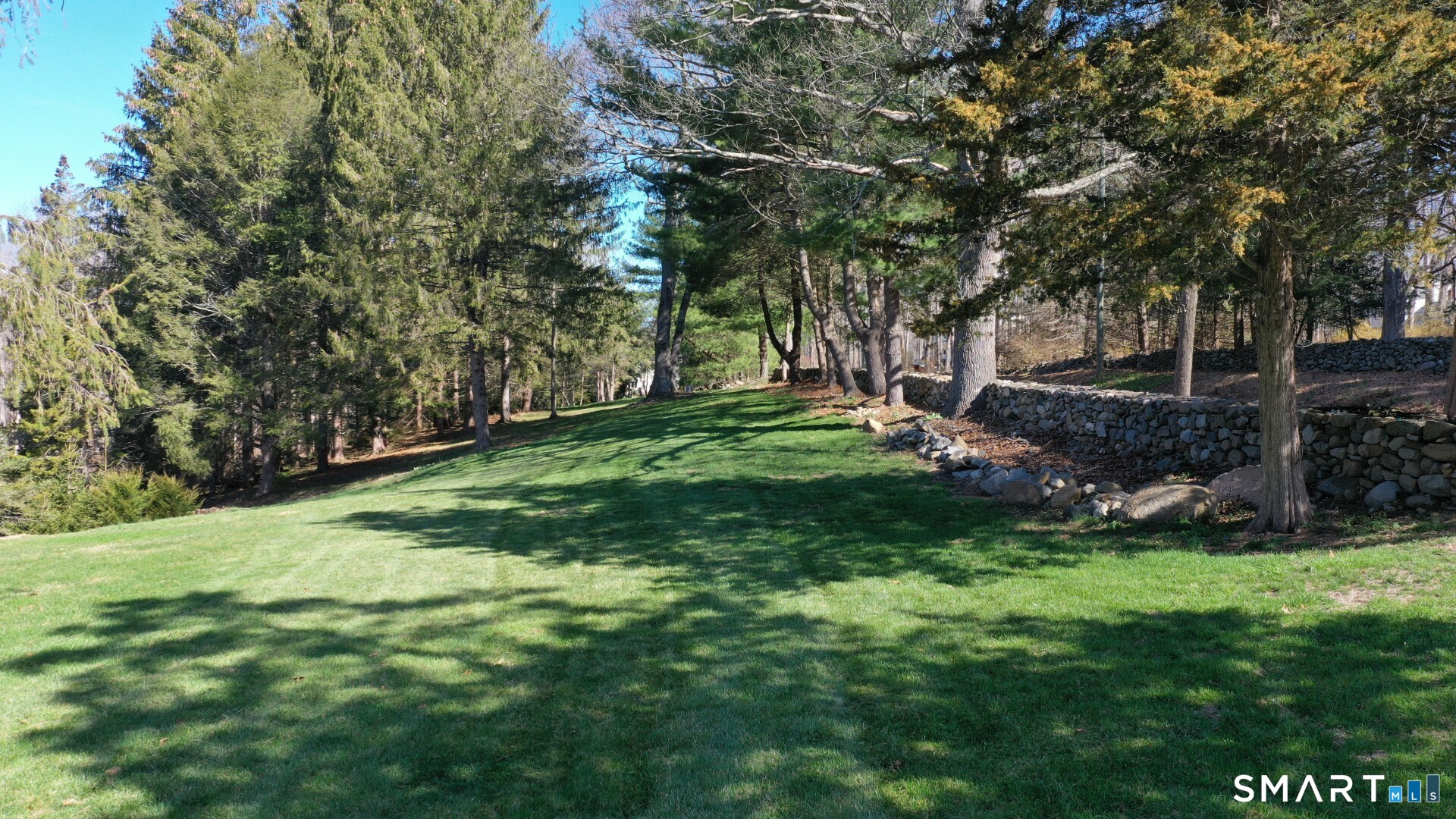 441 Opening Hill Road Madison, CT 06443 - Photo 3 of 33 a view of a backyard with large trees