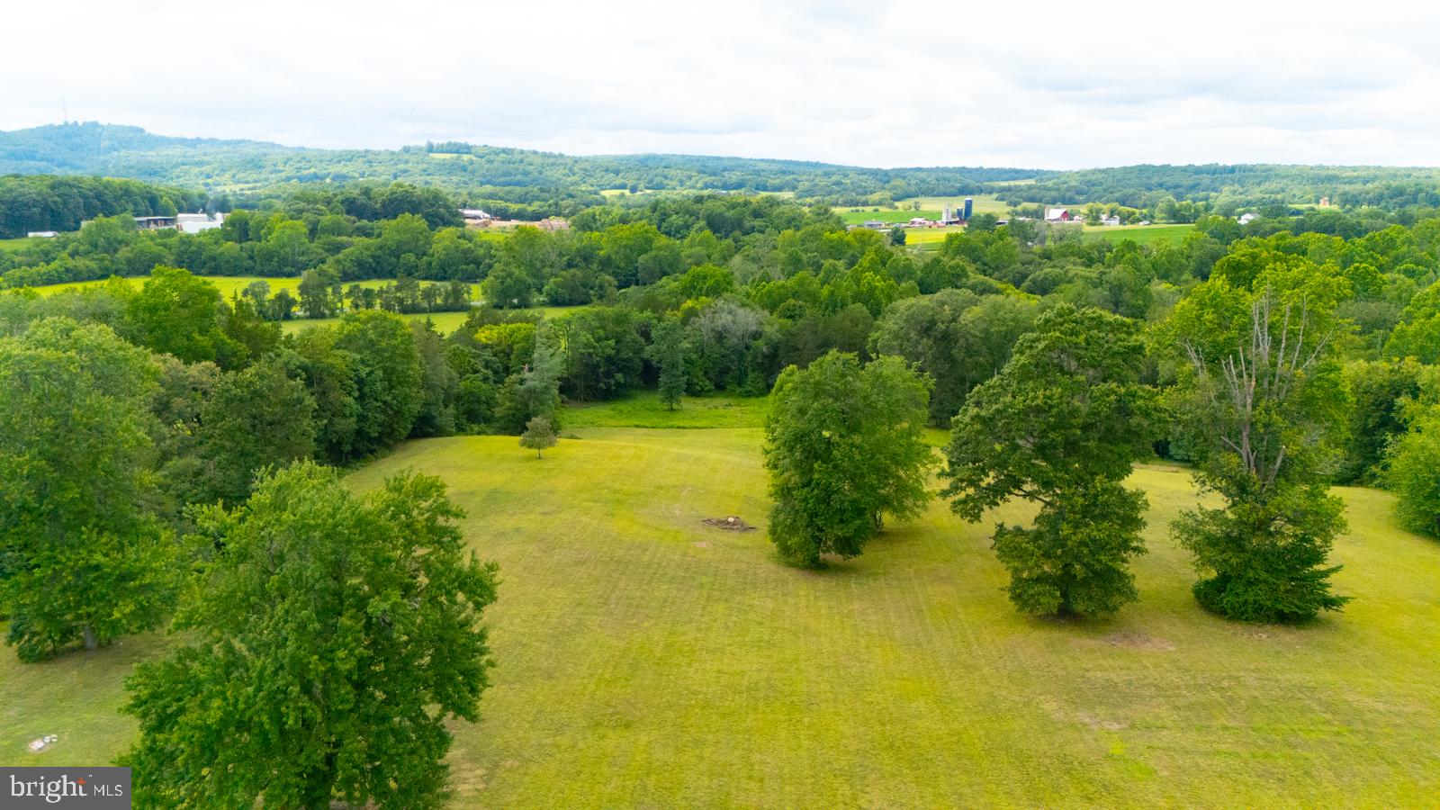 6542 Pine Stake Road Culpeper, VA 22701 - Photo 62 of 113 Lush green landscape under cloudy skies.