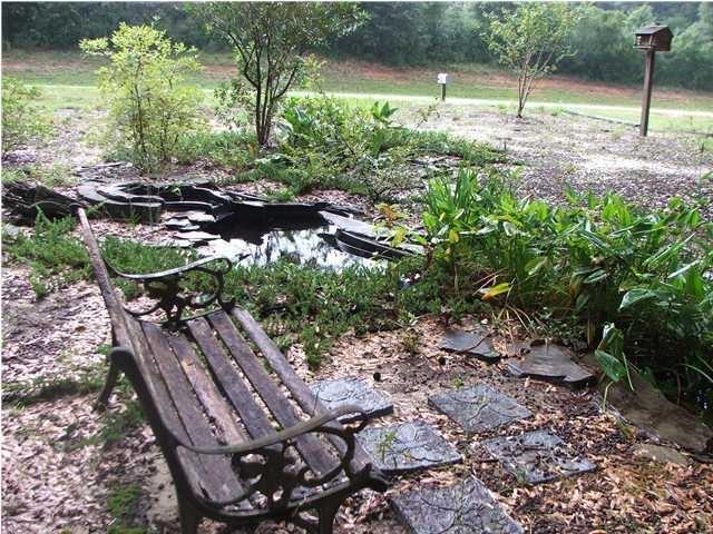 4263 Poverty Creek Road Crestview, FL 32539 - Photo 3 of 13 a backyard of a house with lots of green space