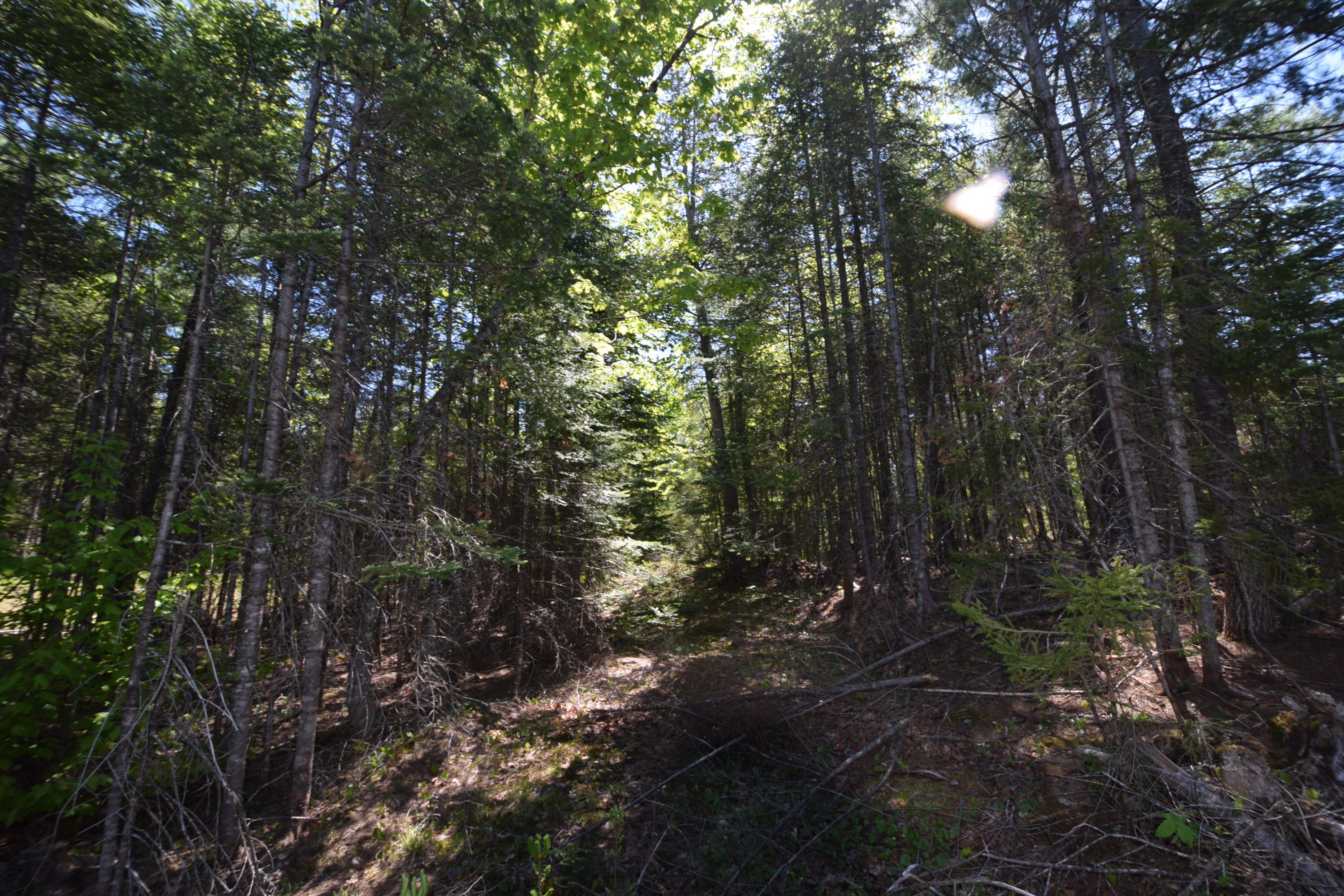 Lot 18 Tenney Hill Road Monson, ME 04464 - Photo 27 of 41 2020-06-01 22.48.09