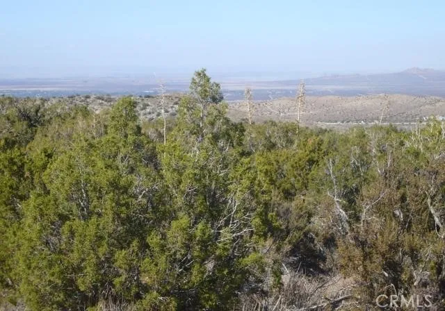 $100,000 | 118 Juniper Hills Road, Juniper Hills, CA 93543