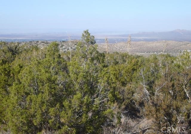 118 Juniper Hills Road Juniper Hills, CA 93543 - Photo 2 of 8