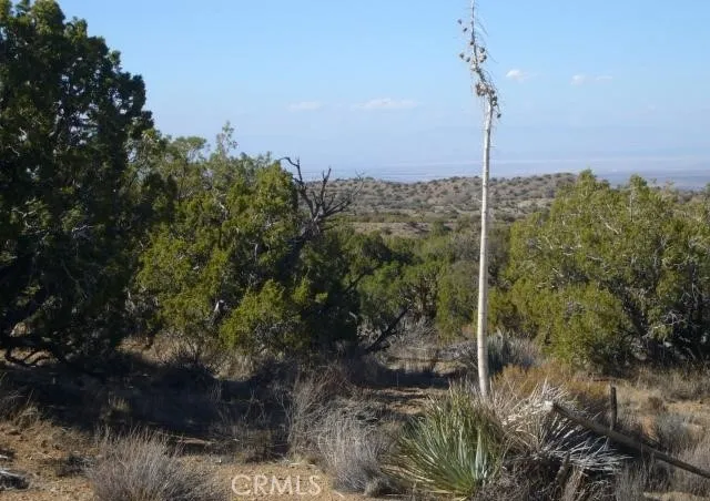 $100,000 | 118 Juniper Hills Road, Juniper Hills, CA 93543