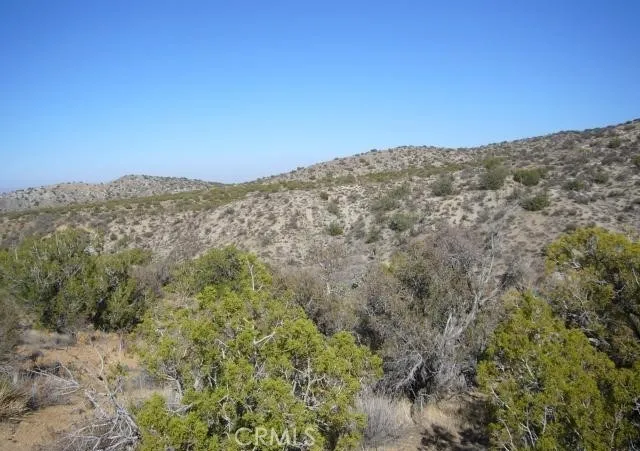 $100,000 | 118 Juniper Hills Road, Juniper Hills, CA 93543