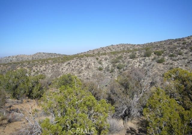 118 Juniper Hills Road Juniper Hills, CA 93543 - Photo 4 of 8