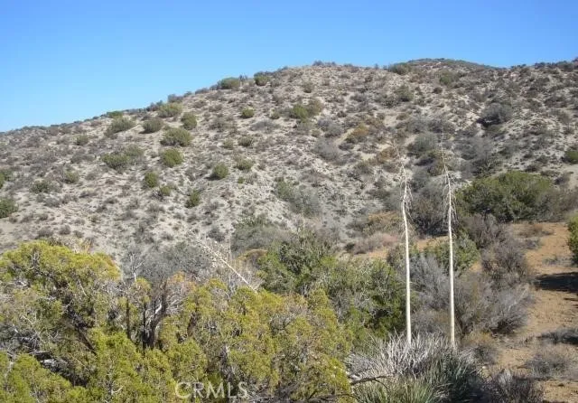 $100,000 | 118 Juniper Hills Road, Juniper Hills, CA 93543