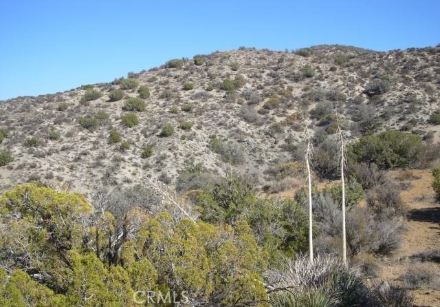 118 Juniper Hills Road Juniper Hills, CA 93543 - Photo 5 of 8