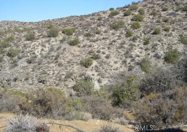 $100,000 | 118 Juniper Hills Road, Juniper Hills, CA 93543