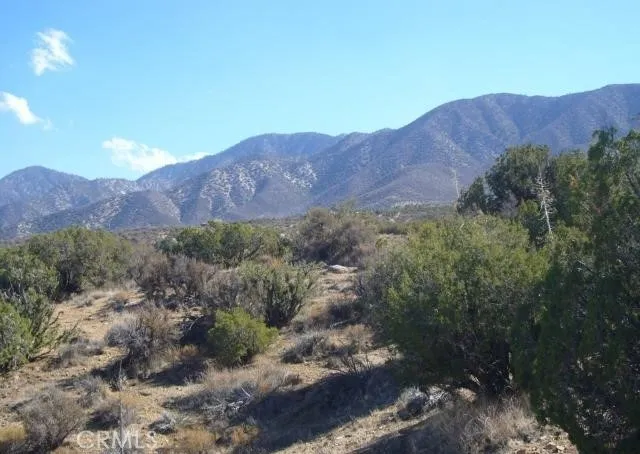 $100,000 | 118 Juniper Hills Road, Juniper Hills, CA 93543