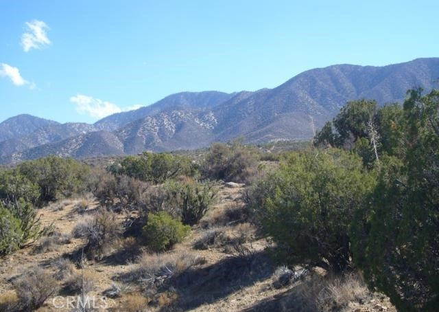 118 Juniper Hills Road Juniper Hills, CA 93543 - Photo 7 of 8