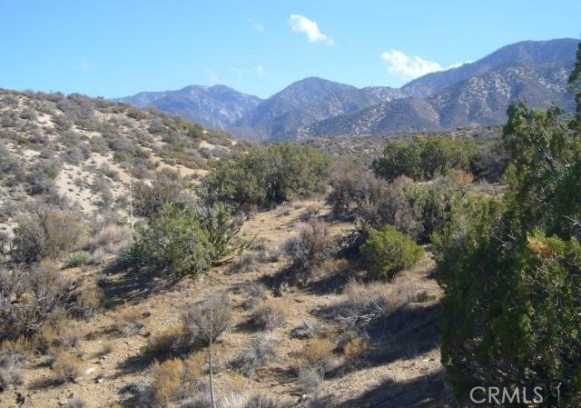 118 Juniper Hills Road Juniper Hills, CA 93543 - Photo 8 of 8