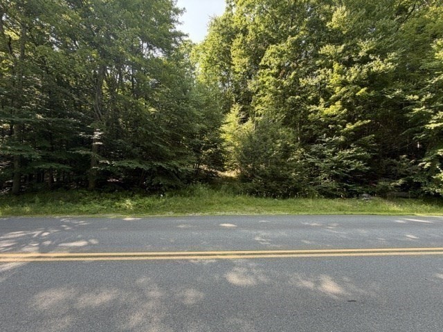 0 Zoar Road Rowe, MA 01367 - Photo 4 of 25 Gallery Image 4