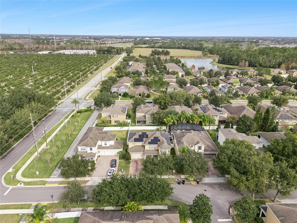 13339 Roskin Lane Windermere, FL 34786 - Photo 48 of 54