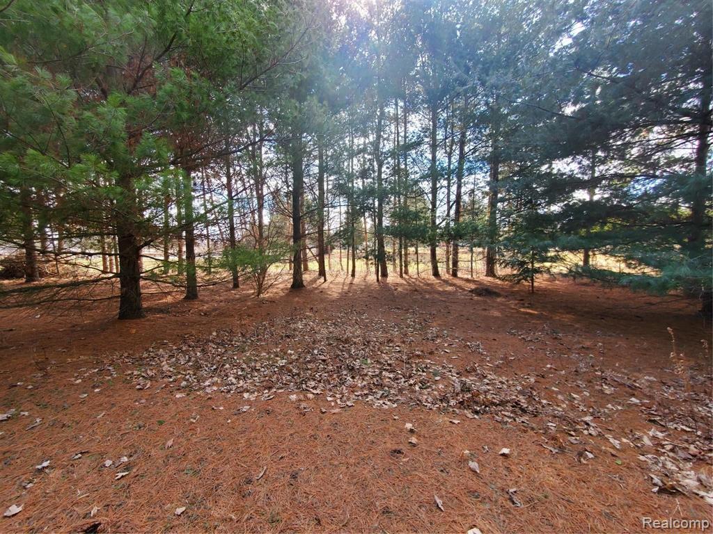 11883 Yale Road Yale, MI 48097 - Photo 51 of 54