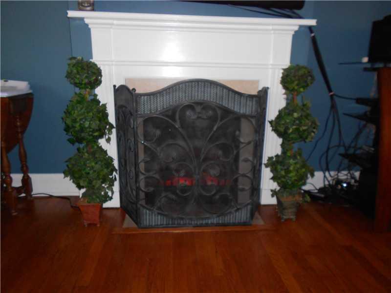 417 Olympia Road Pittsburgh, PA 15211 - Photo 21 of 25 Other. Fireplace with Decorative Screen provides lighting and heat