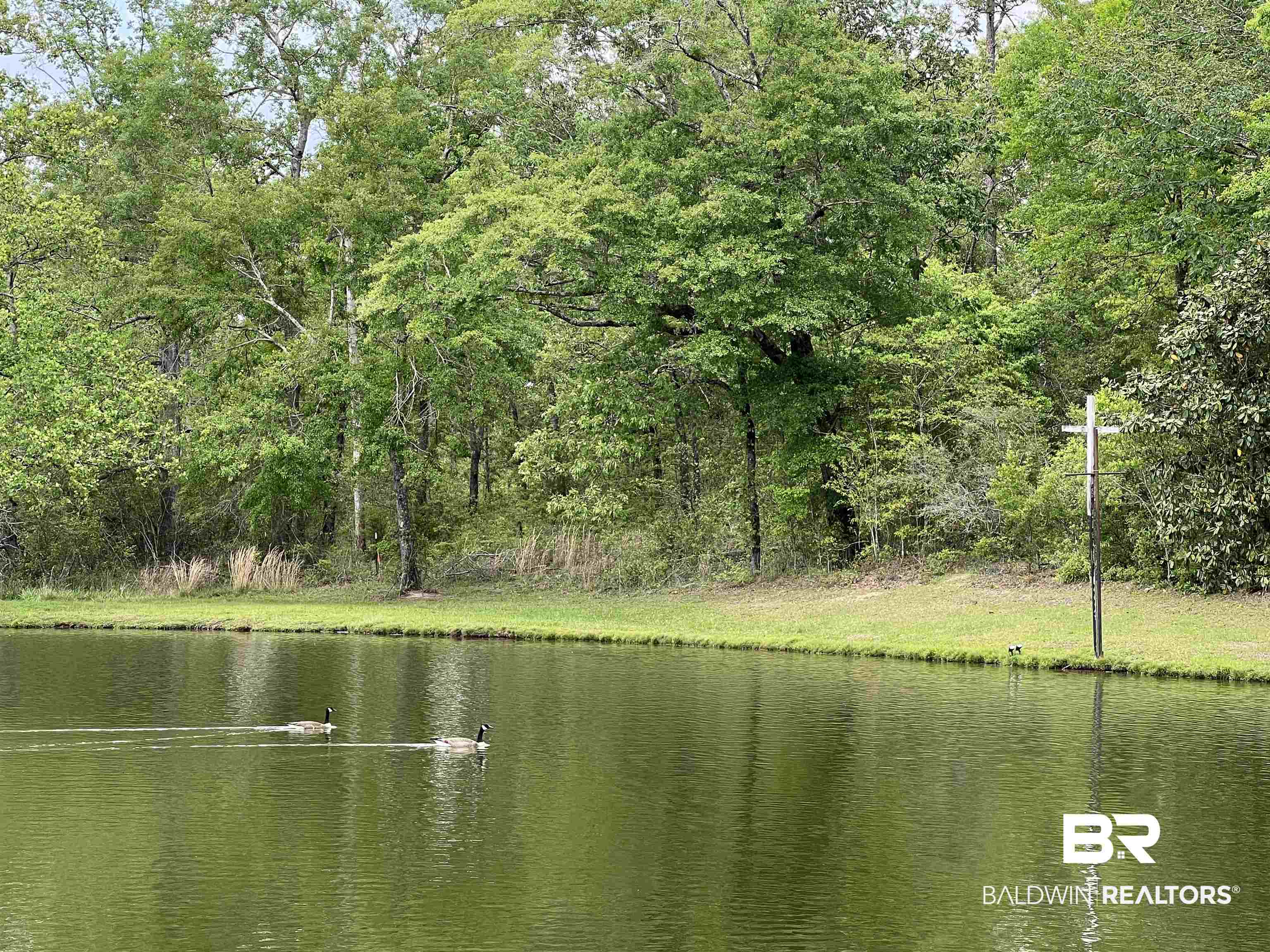 5100 Wiggins Lake Road Walnut Hill, FL 32568 - Photo 4 of 41