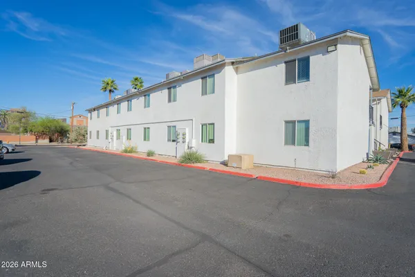 a room with furniture and a potted plant