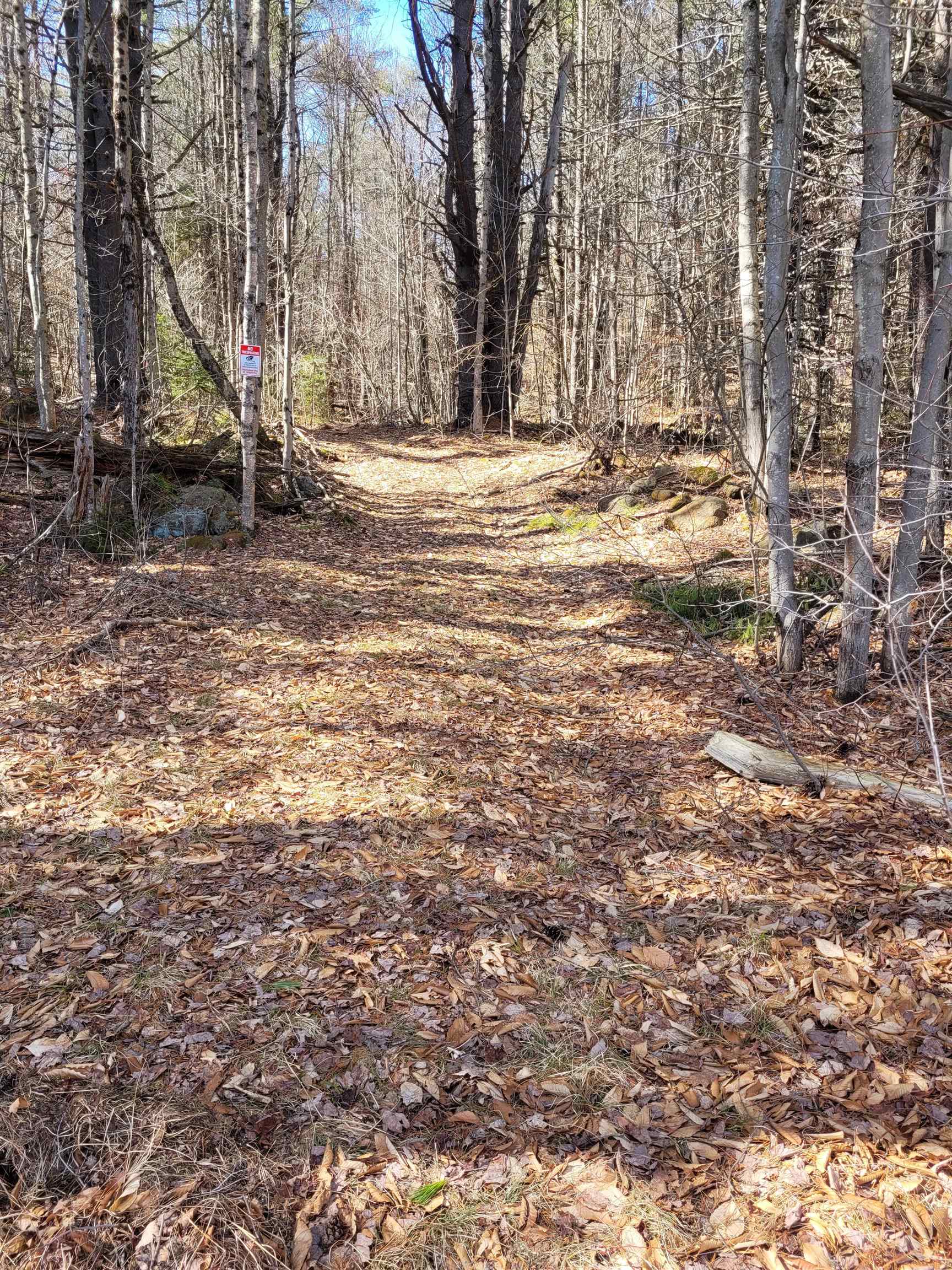 0 Rt 9 Sullivan, NH 03445 - Photo 4 of 6