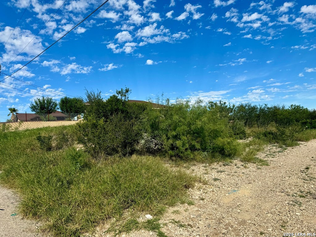 1881 Wagon Wheel Road Eagle Pass, TX 78852 - Photo 4 of 4 a view of a big yard with lots of green space and mountain view