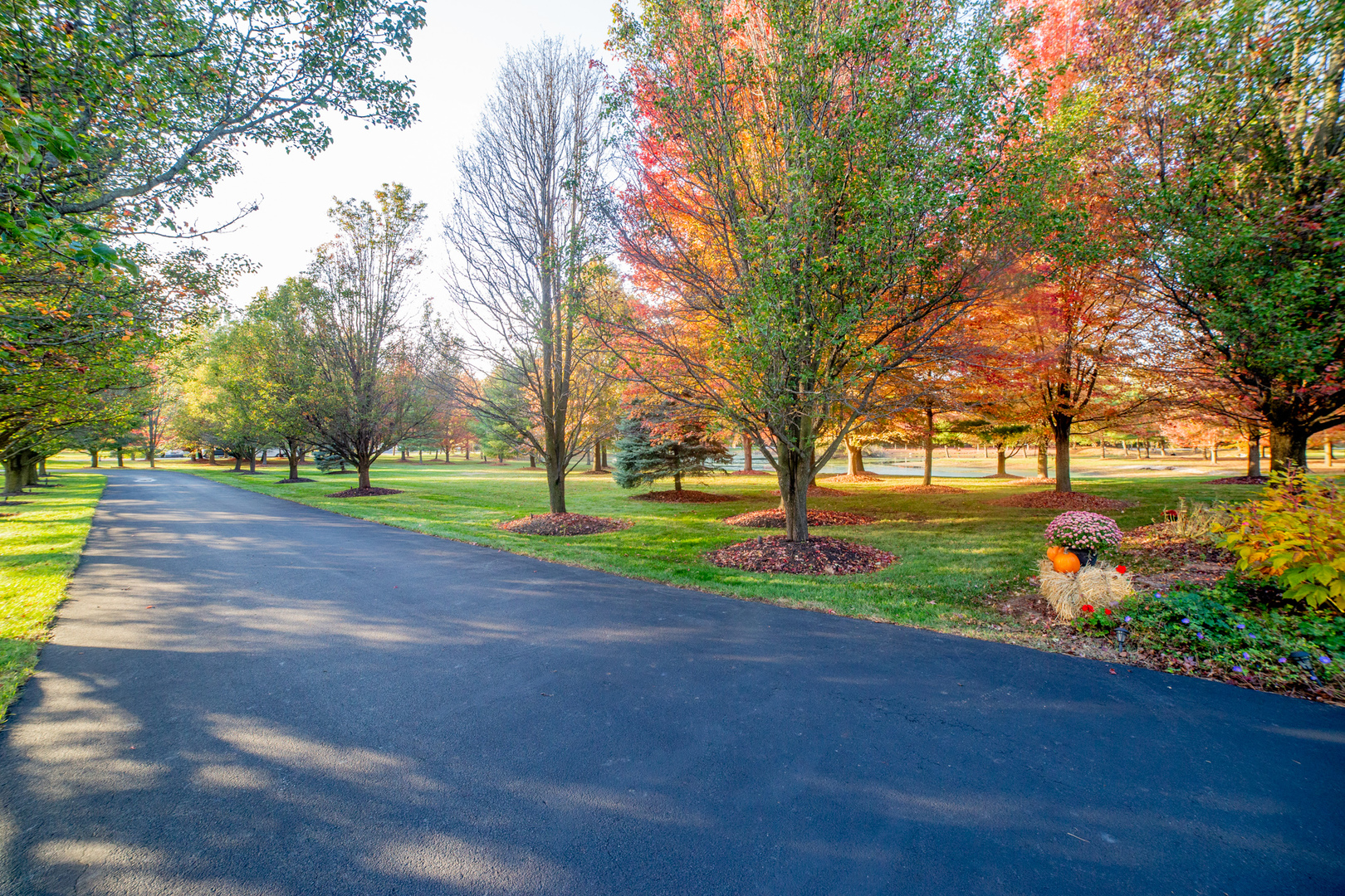 24131 Volbrecht Road Crete, IL 60417 - Photo 6 of 50 a green field with lots of trees