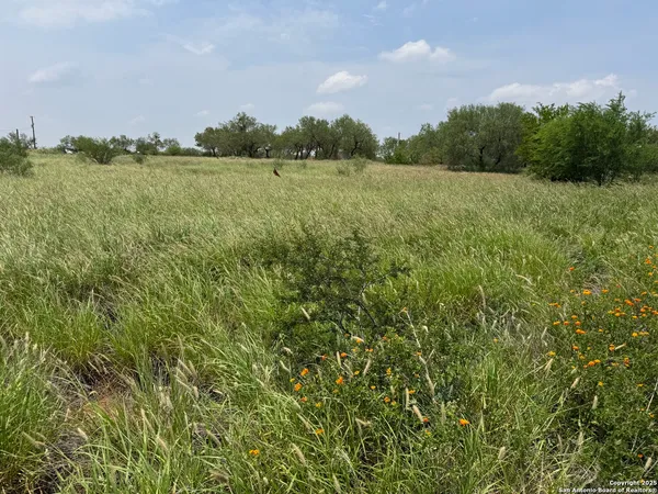 a view of an outdoor space and a yard