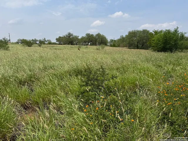 a view of an outdoor space and a yard