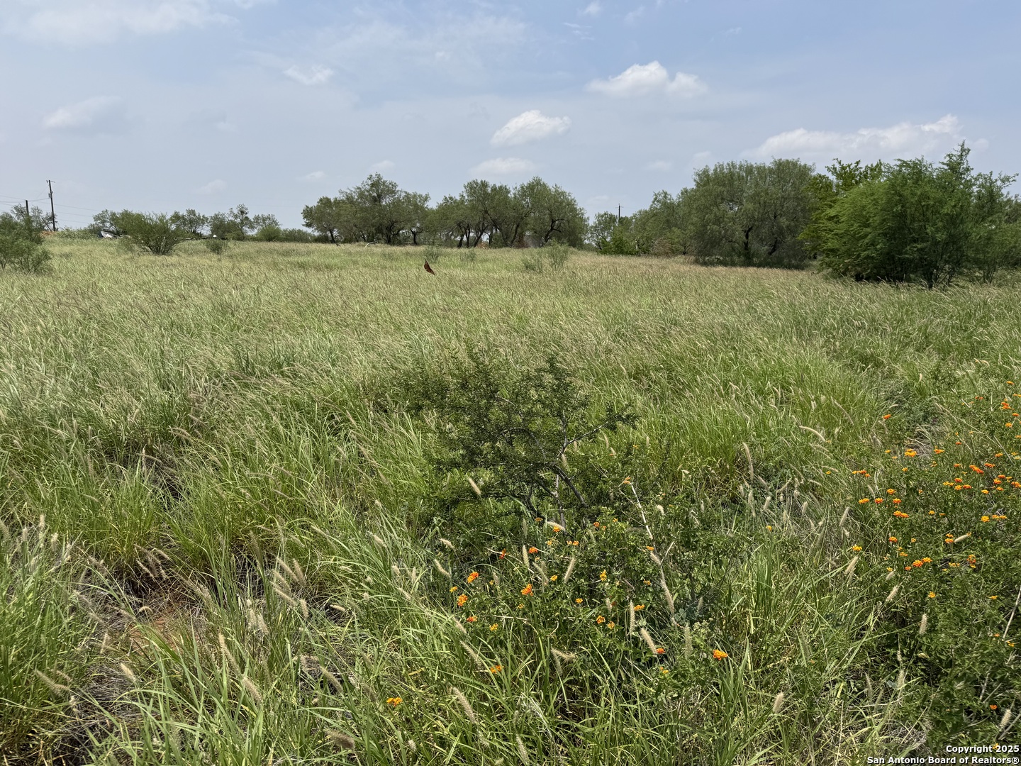 2266 Interstate 35 Cotulla, TX 78014 - Photo 2 of 4 a view of an outdoor space and a yard
