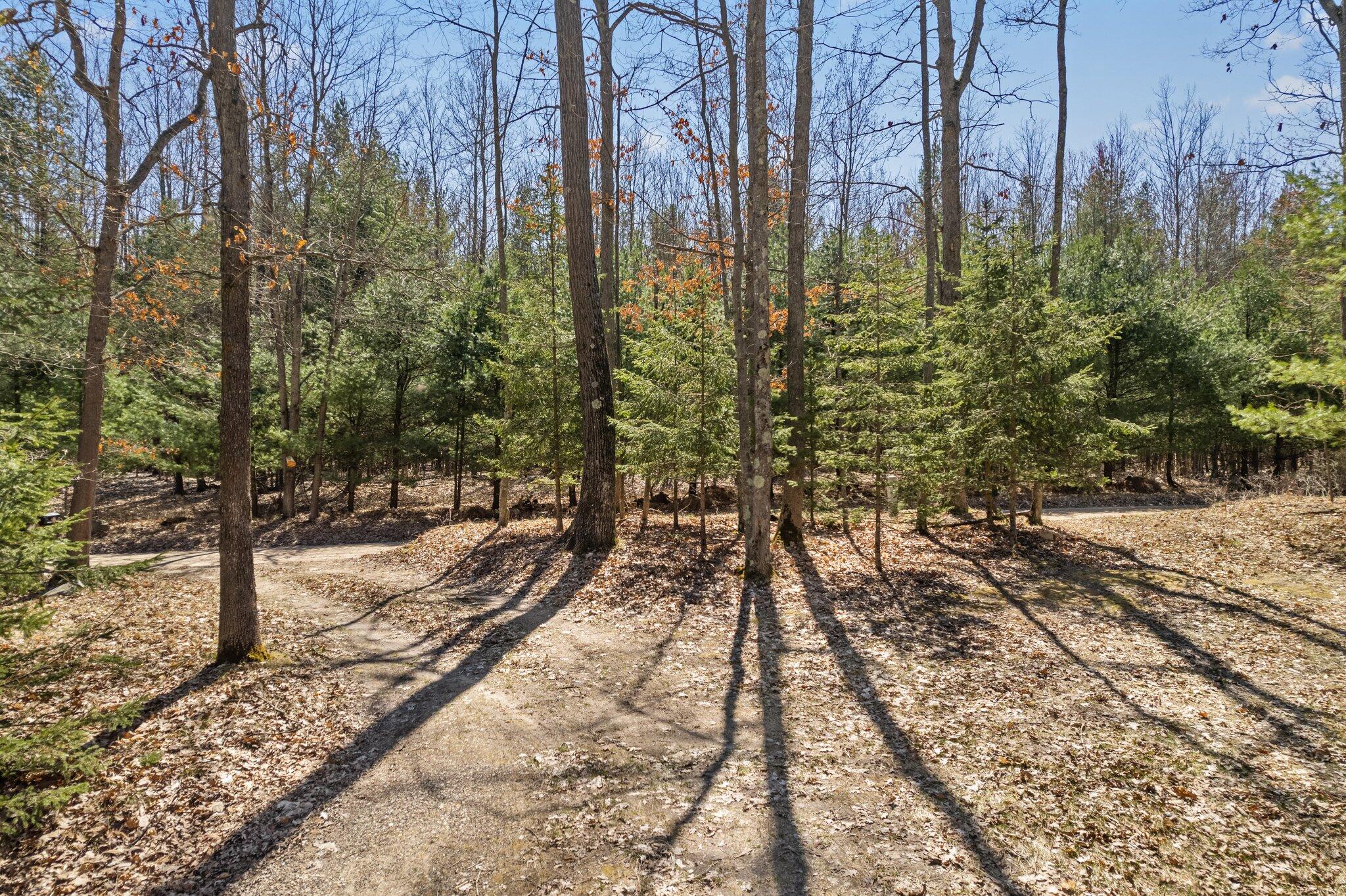 793 East 16 Mile Road Bitely, MI 49309 - Photo 26 of 35 24-web-or-mls-DJI_0024