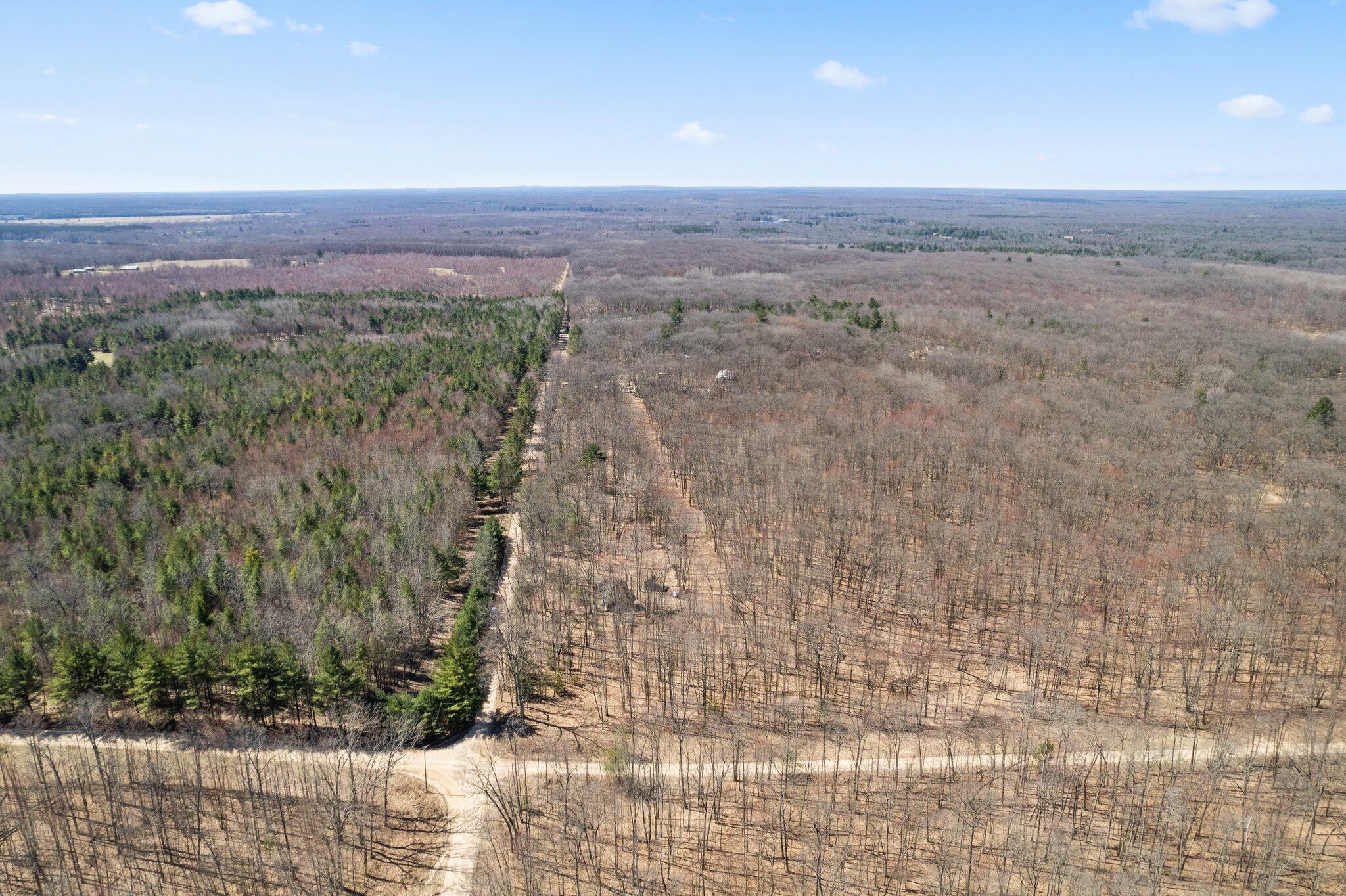 793 East 16 Mile Road Bitely, MI 49309 - Photo 33 of 35 30-web-or-mls-DJI_0031
