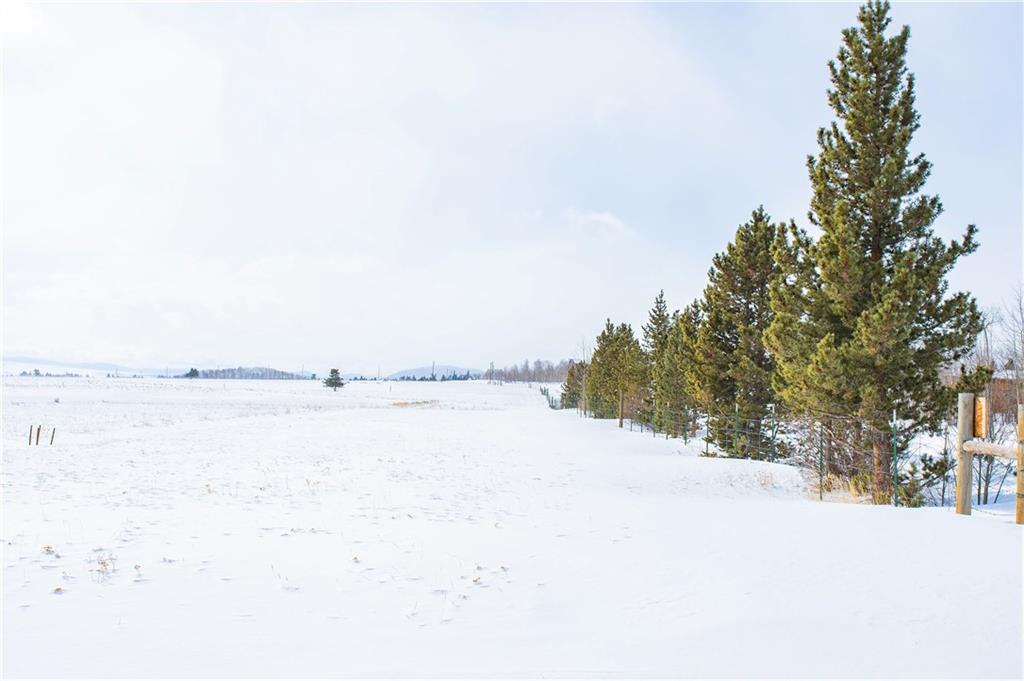 0 Vine Road Fairplay, CO 80440 - Photo 11 of 20 Gallery Image 11