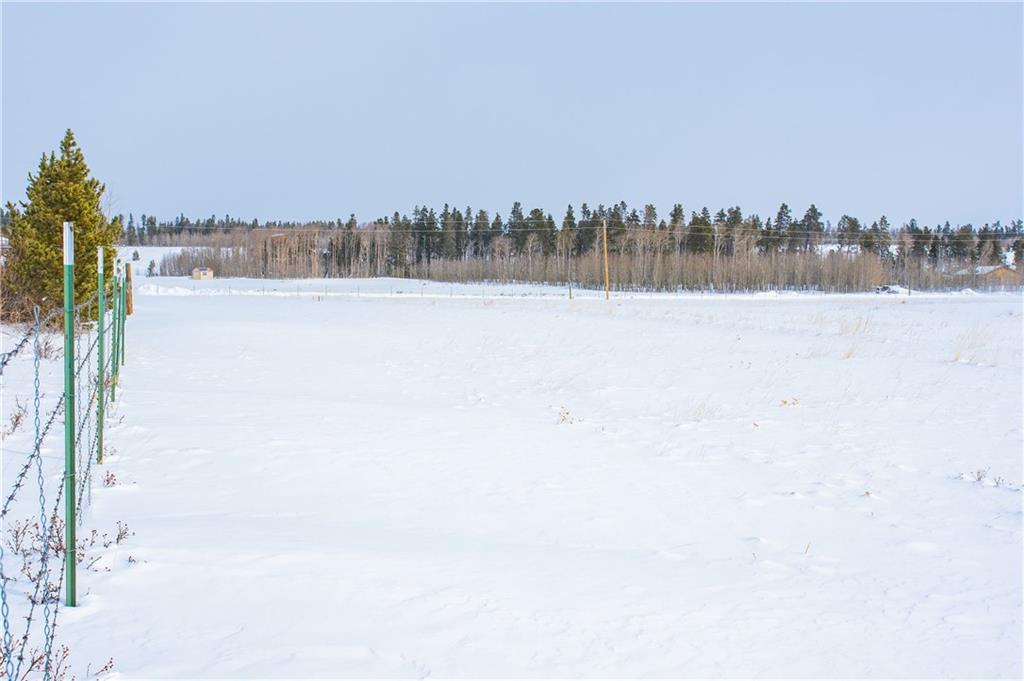 0 Vine Road Fairplay, CO 80440 - Photo 15 of 20 Gallery Image 15
