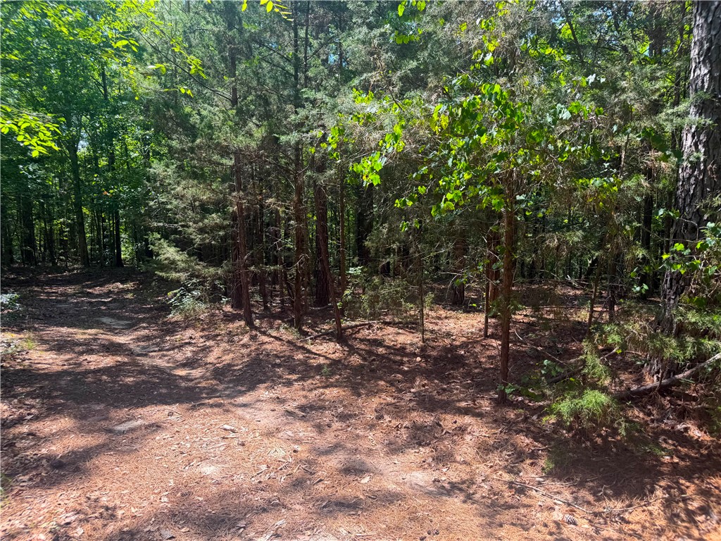 9816 Neely Ferry Road Waterloo, SC 29384 - Photo 3 of 7