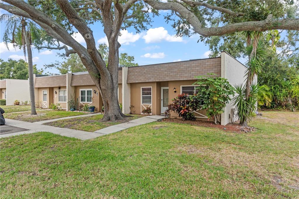 11511 113th Street, Unit 4F Largo, FL 33778 - Photo 29 of 30 a view of a house with backyard and a tree