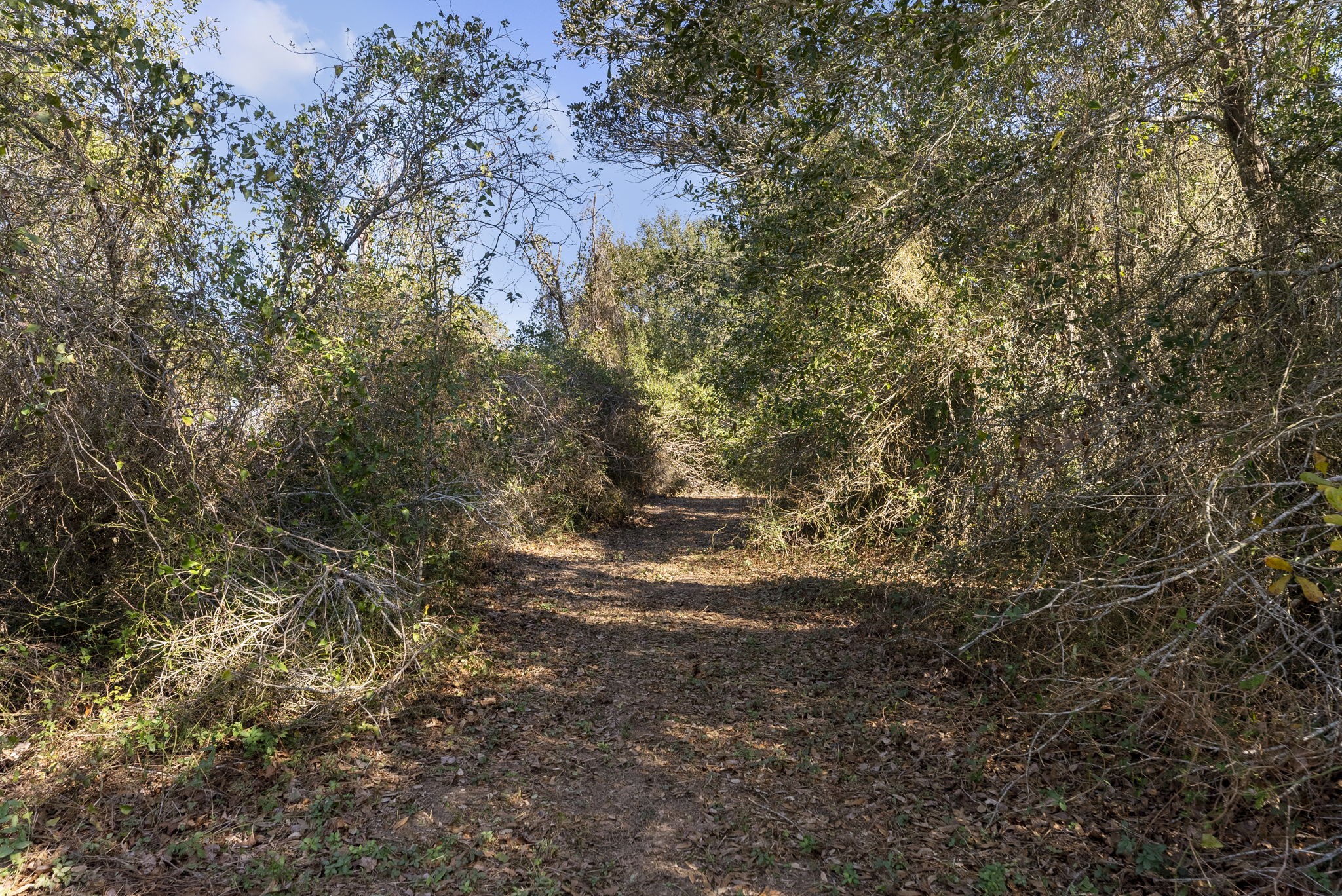 0 Fm 1488 Waller, TX 77484 - Photo 24 of 28