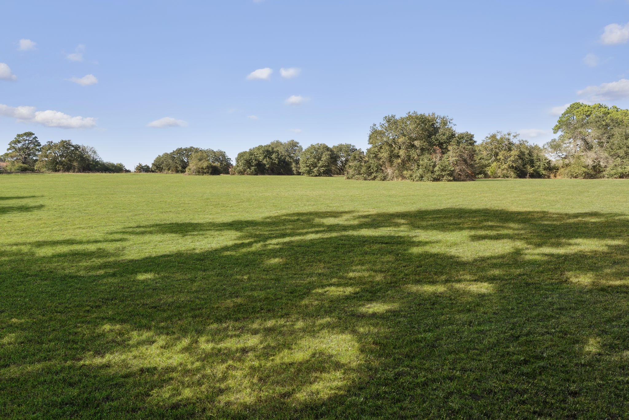 0 Fm 1488 Waller, TX 77484 - Photo 5 of 28 The cleared space is the perfect spot to add your dream home or business while still enjoying the surrounding natural landscape, with plent of room to build and grow.