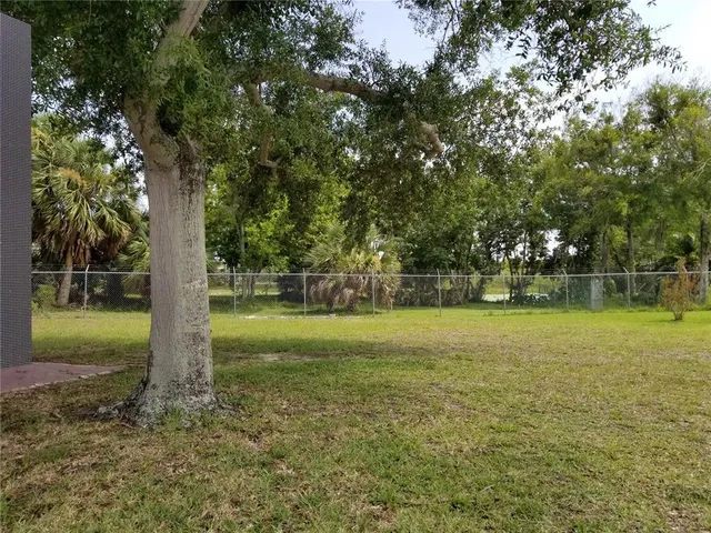 a park view with a bench and trees around