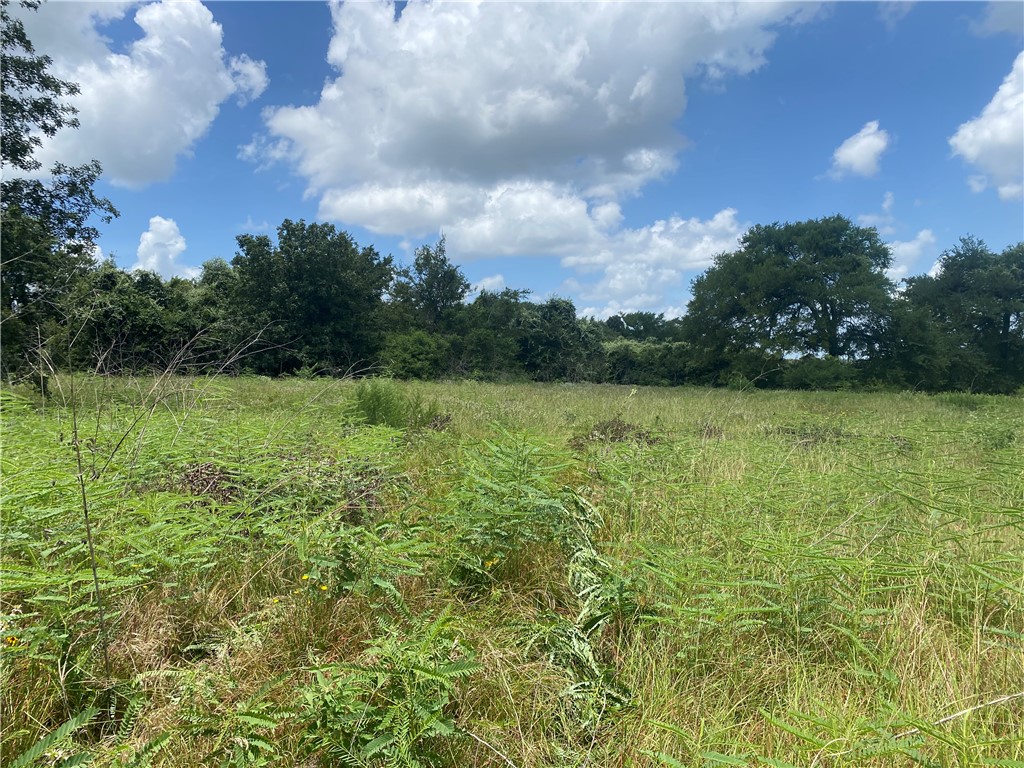 10779 Whiterock Road Bremond, TX 76629 - Photo 10 of 13