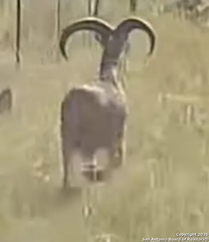 $119,000 | Tbd Hegedus Ranch Road, Rocksprings, TX 78880