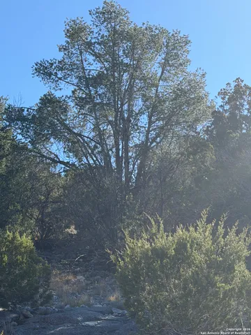 $119,000 | Tbd Hegedus Ranch Road, Rocksprings, TX 78880